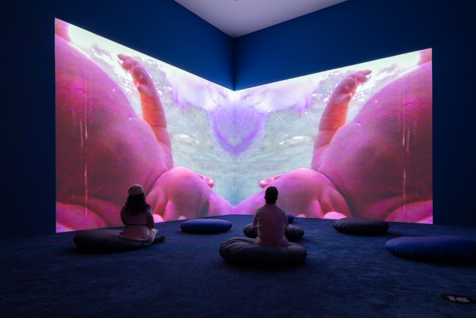 10O6y7C9VsTppnBNyb_6K_kla76jRwpl3