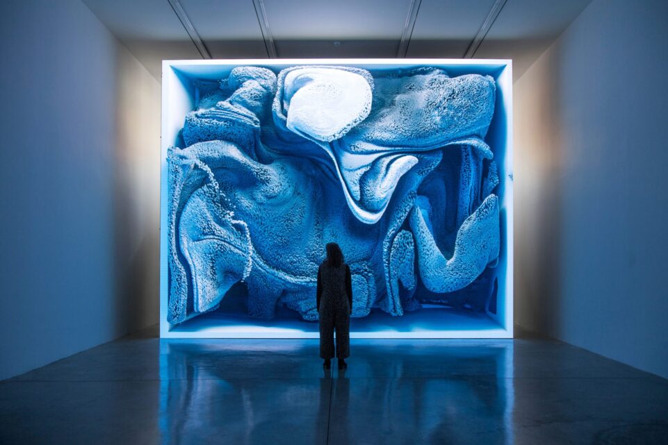 1LFgOirI3qUumEW0hyzil0I5MmsZkdOkb