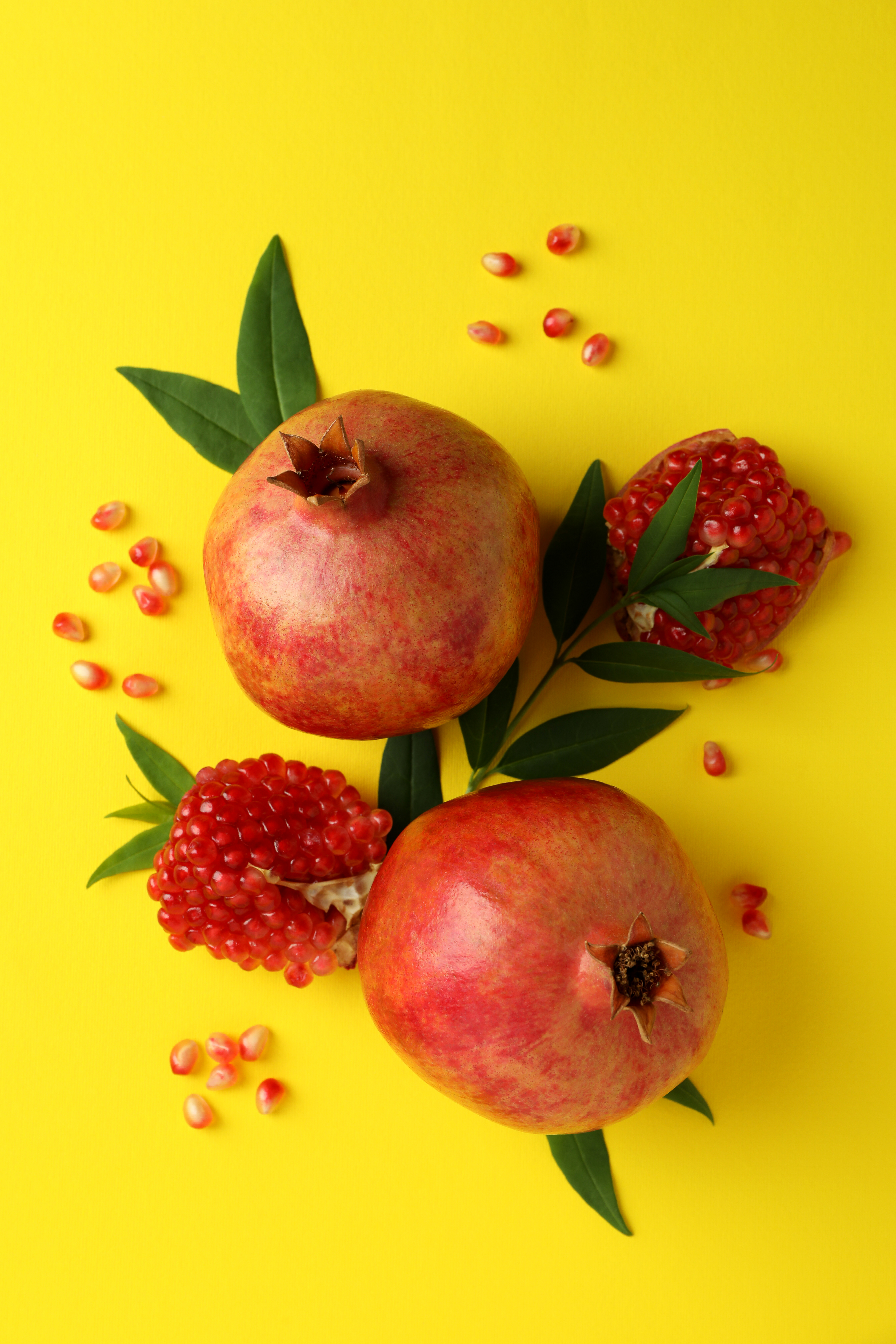 19L1xbc6i3V3Y0-J1oyRlsIQIoMAh8KwH