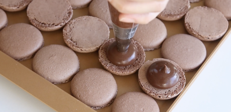 1zDiCiUt_rnqwzor2L9niVNvHgvxUmHxh